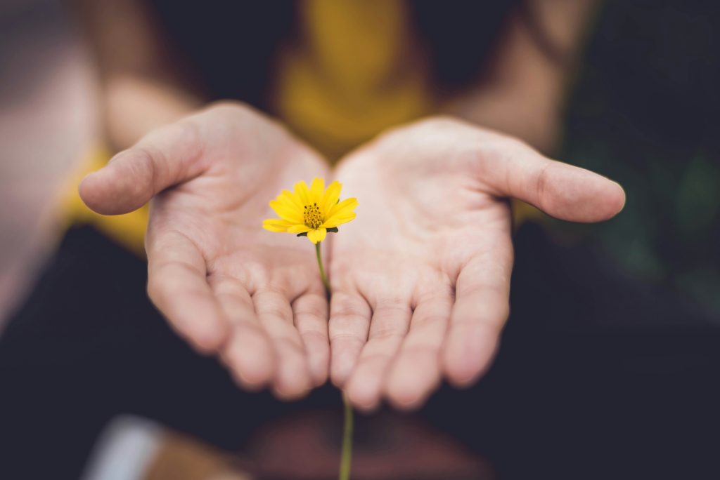 The science and soul of healing on the gold coast